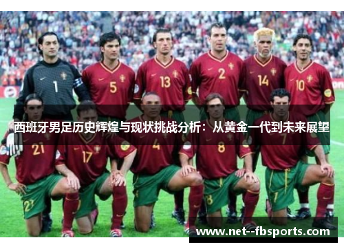 西班牙男足历史辉煌与现状挑战分析：从黄金一代到未来展望